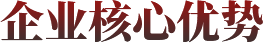 企业核心优势